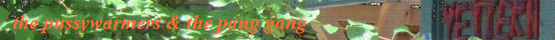 the pussywarmers & the pang gang